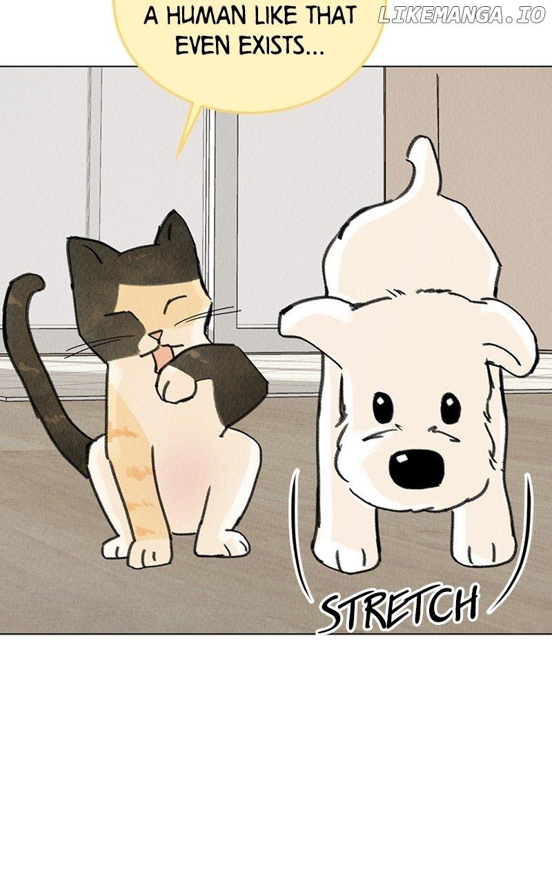 Want to See My Cat? Chapter 11 page 16