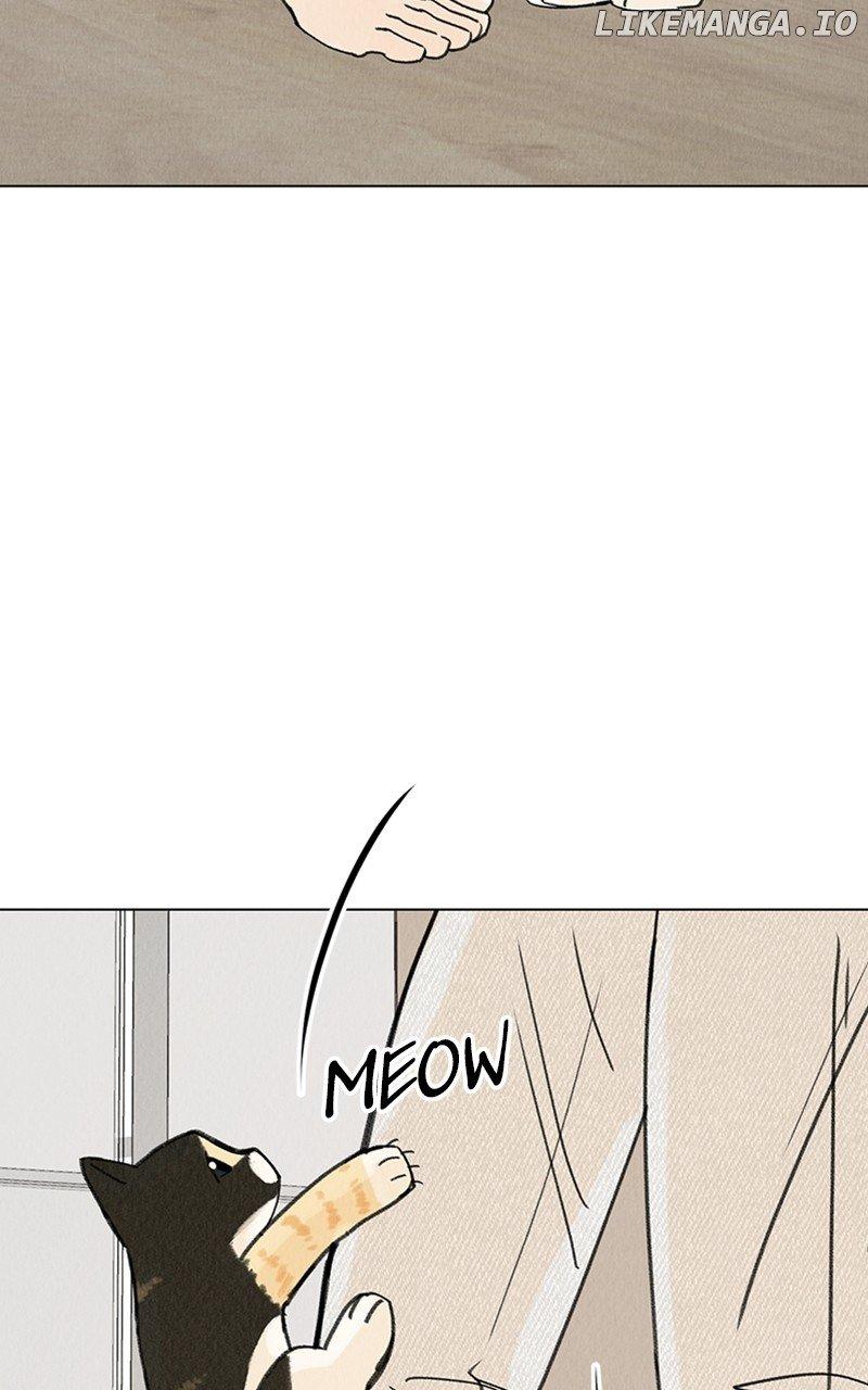Want to See My Cat? Chapter 11 page 23