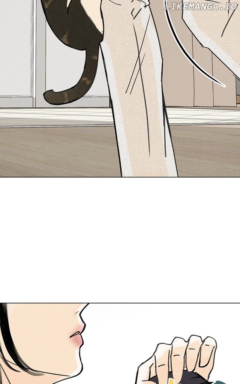 Want to See My Cat? Chapter 11 page 24