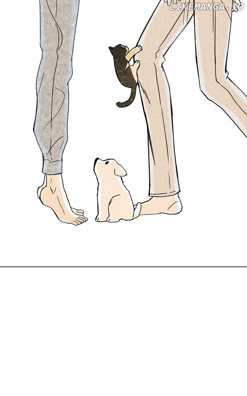 Want to See My Cat? Chapter 11 page 27