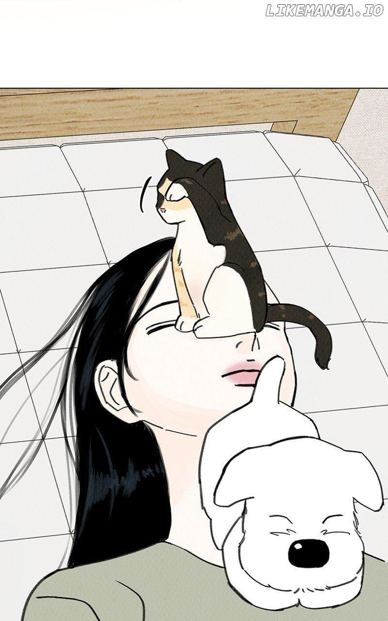 Want to See My Cat? Chapter 12 page 15