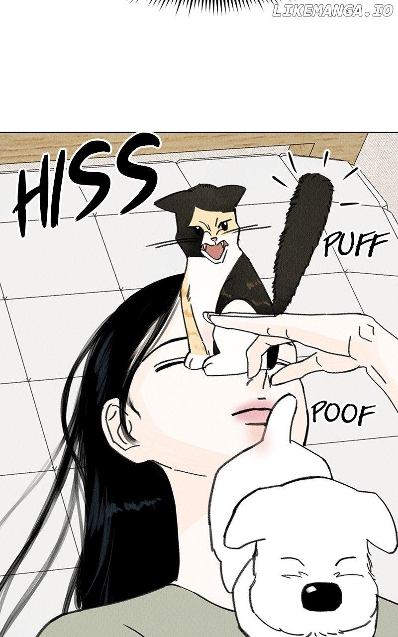 Want to See My Cat? Chapter 12 page 21