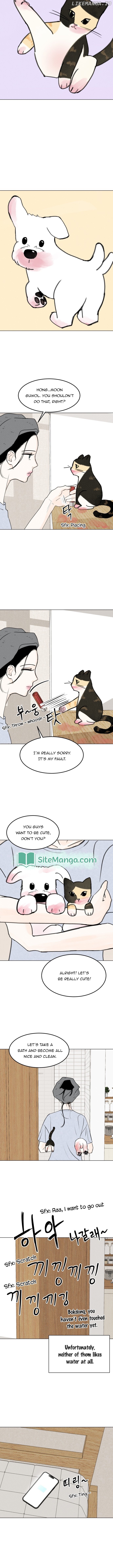 Want to See My Cat? Chapter 15 page 4
