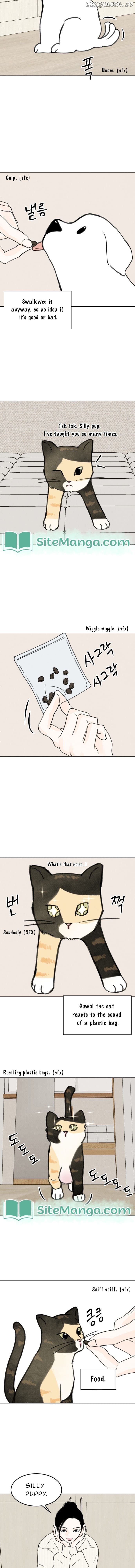 Want to See My Cat? Chapter 16 page 9