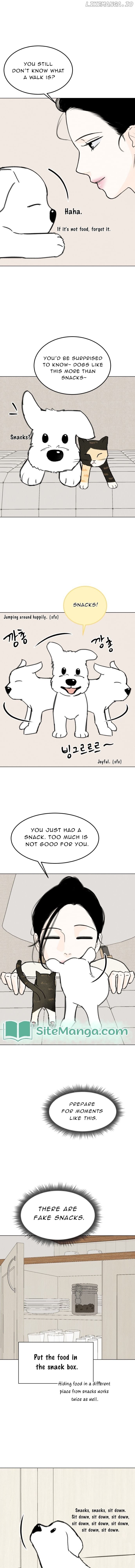 Want to See My Cat? Chapter 16 page 8