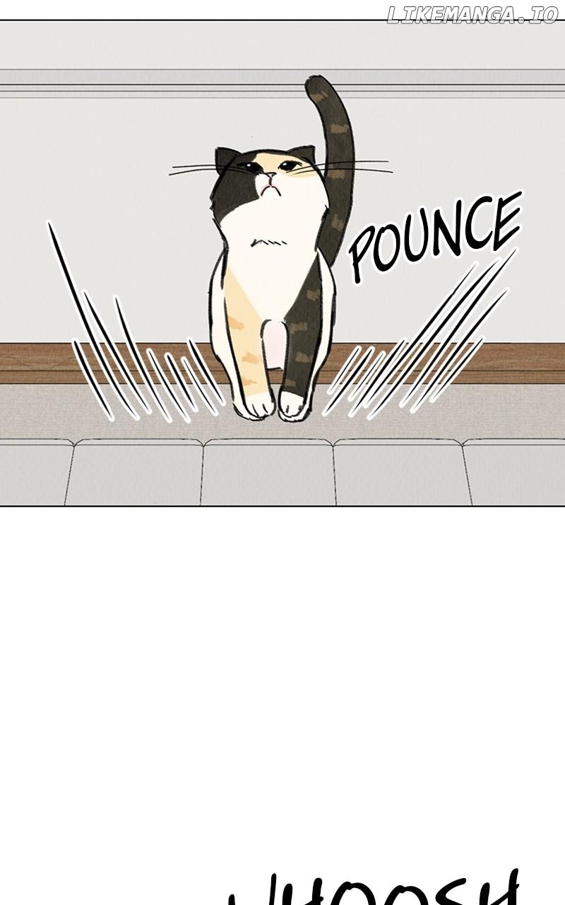 Want to See My Cat? Chapter 19 page 32