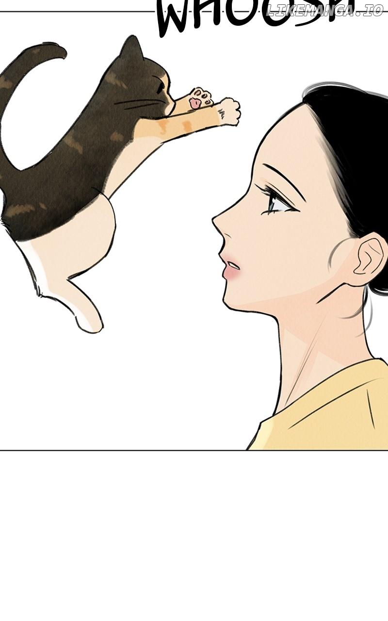 Want to See My Cat? Chapter 19 page 33