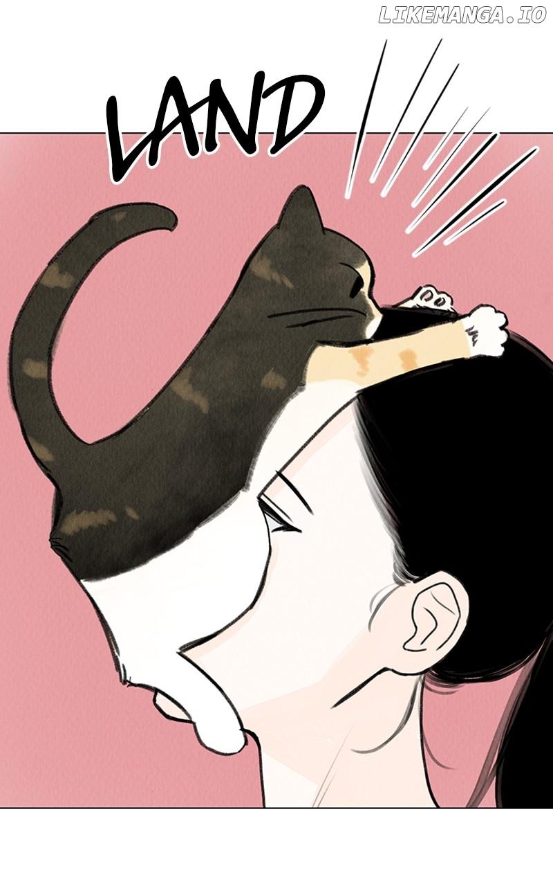 Want to See My Cat? Chapter 19 page 34