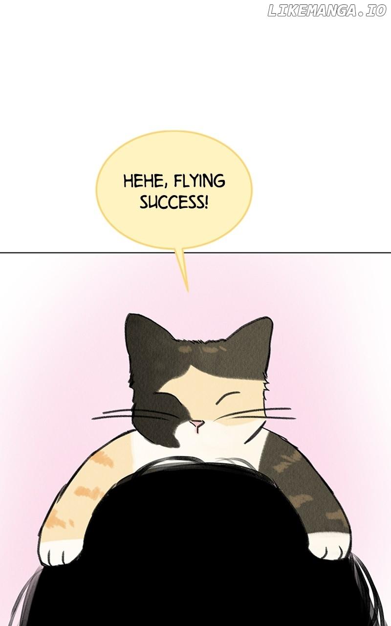 Want to See My Cat? Chapter 19 page 35