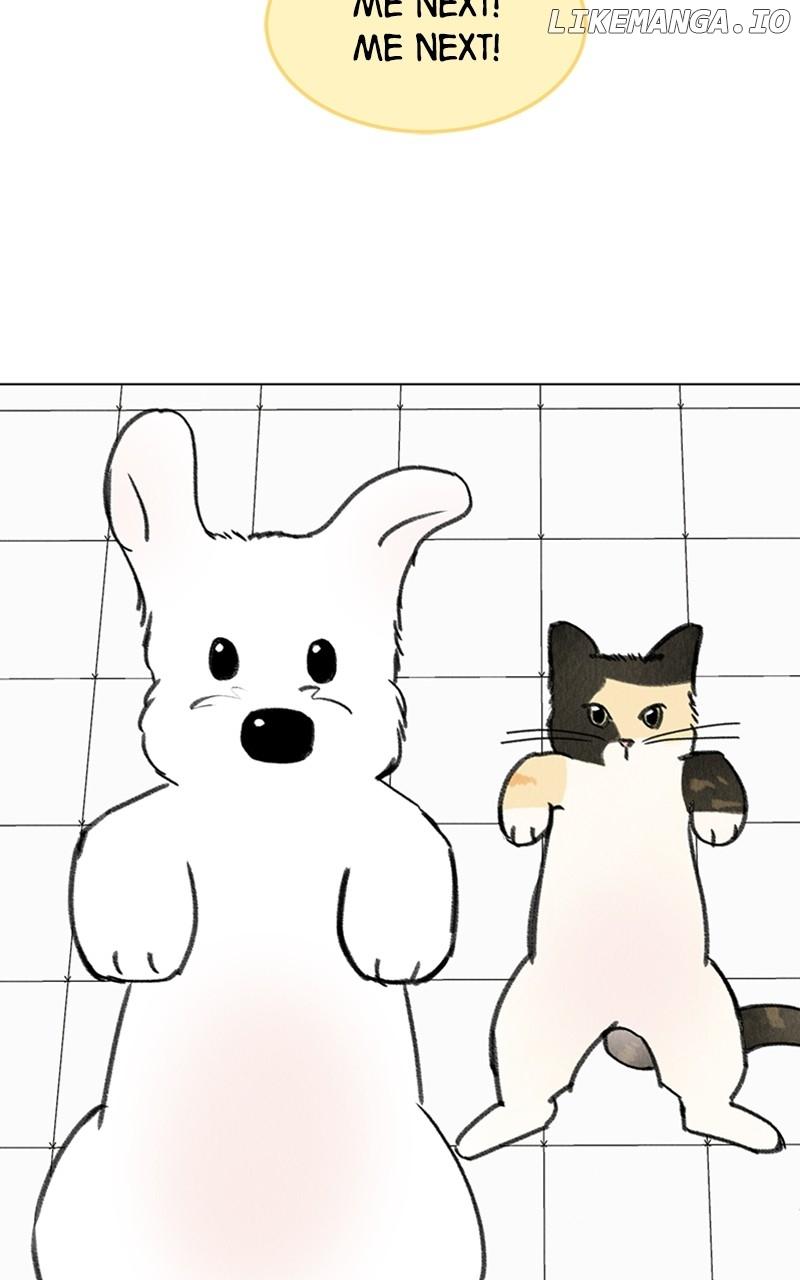 Want to See My Cat? Chapter 19 page 39