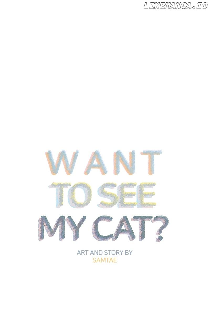 Want to See My Cat? Chapter 19 page 43