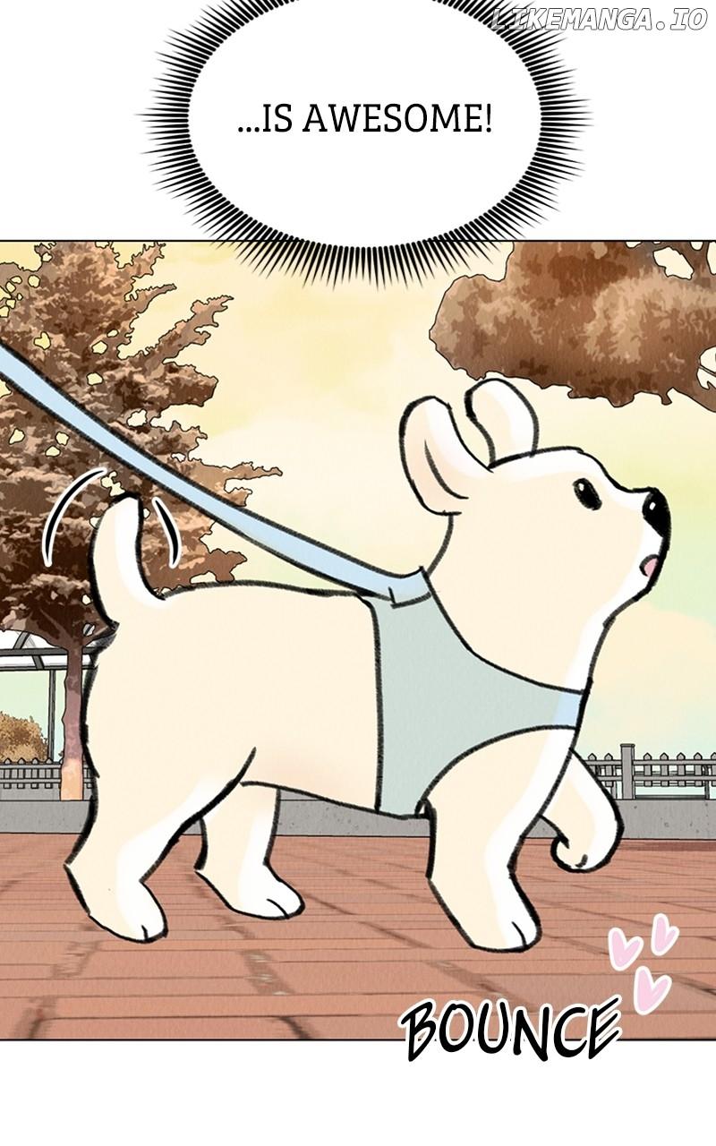 Want to See My Cat? Chapter 19 page 47