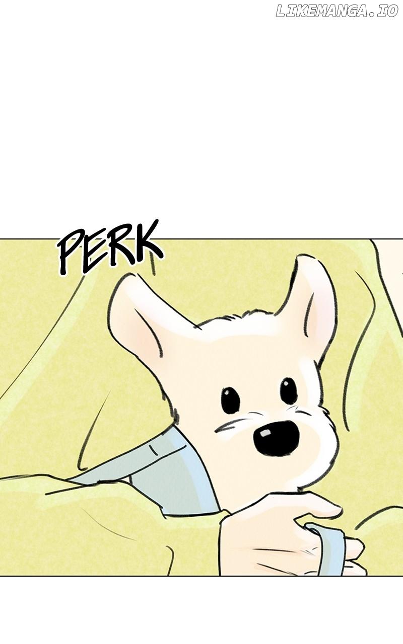 Want to See My Cat? Chapter 19 page 79