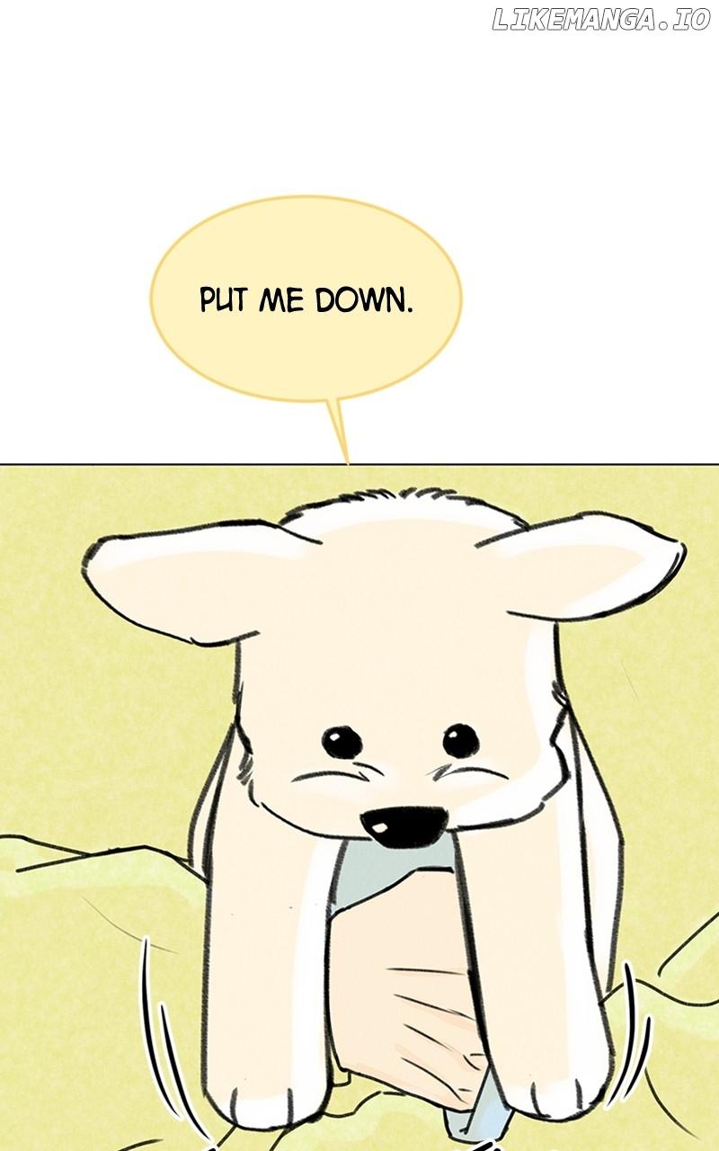 Want to See My Cat? Chapter 19 page 80