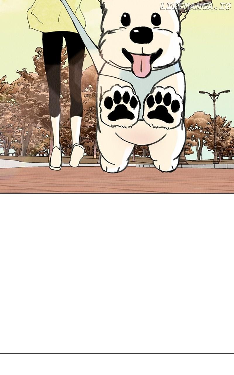 Want to See My Cat? Chapter 19 page 82