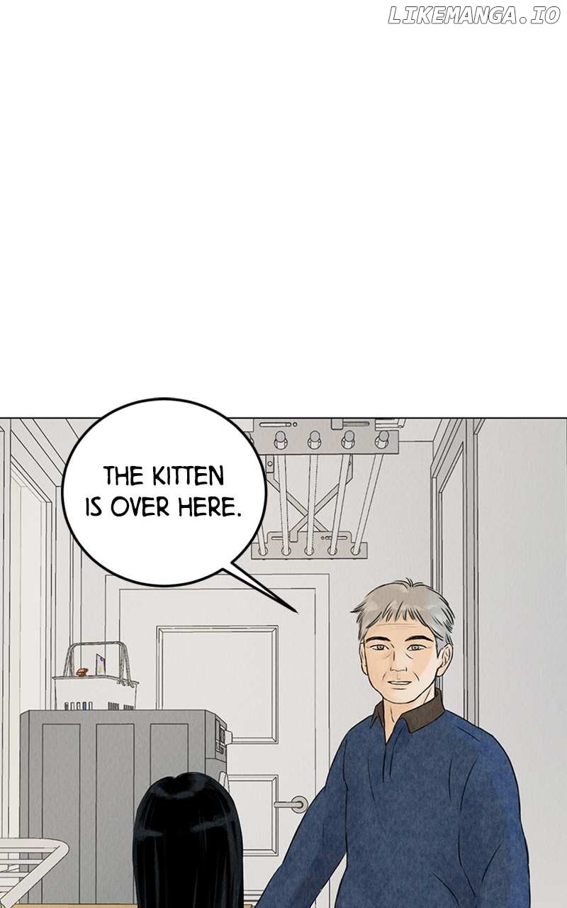Want to See My Cat? Chapter 2 page 0