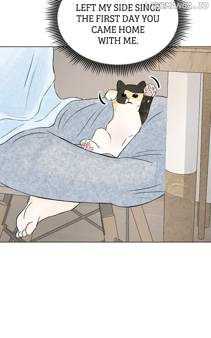Want to See My Cat? Chapter 2 page 26