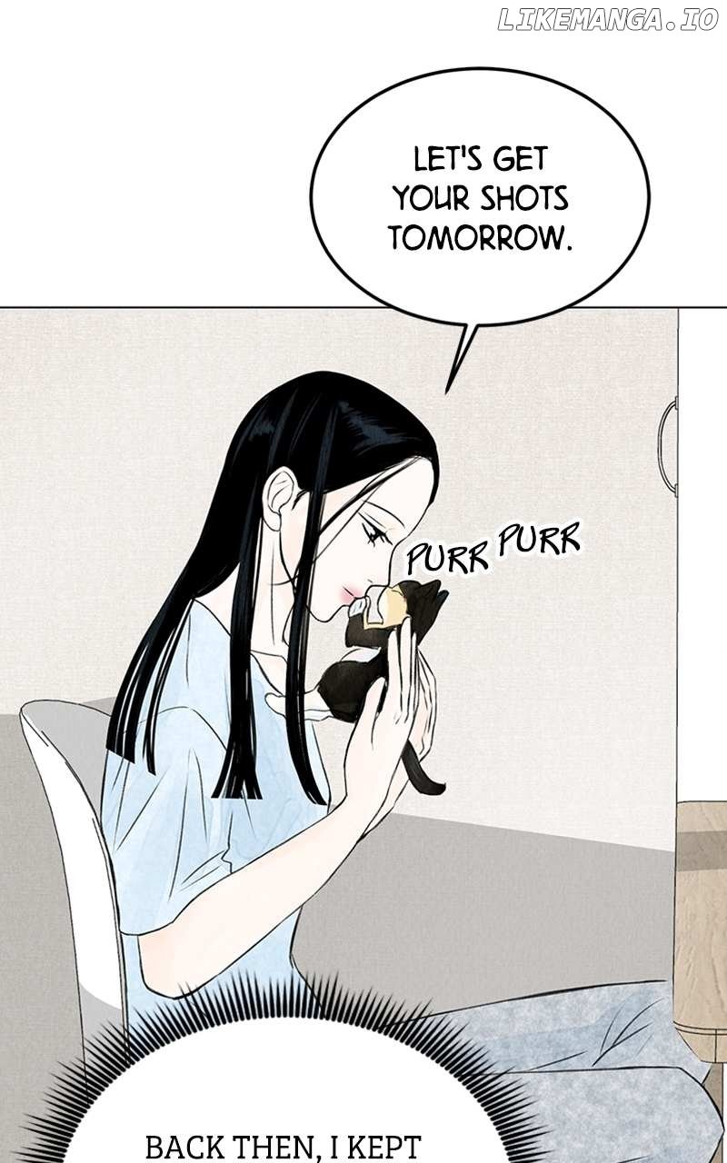 Want to See My Cat? Chapter 2 page 27