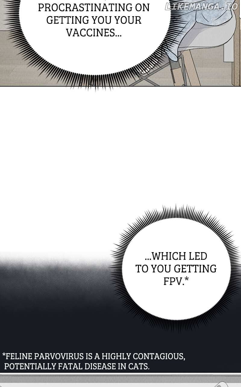 Want to See My Cat? Chapter 2 page 28