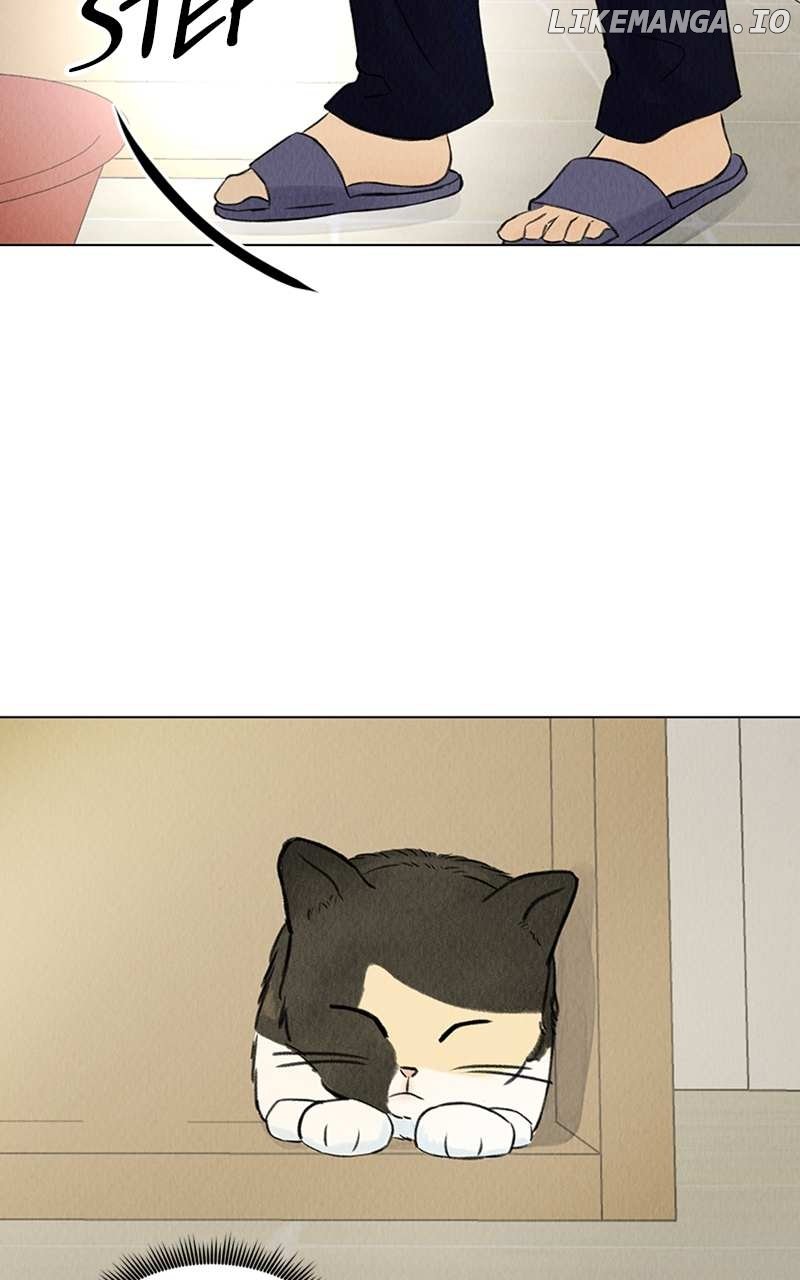 Want to See My Cat? Chapter 2 page 2