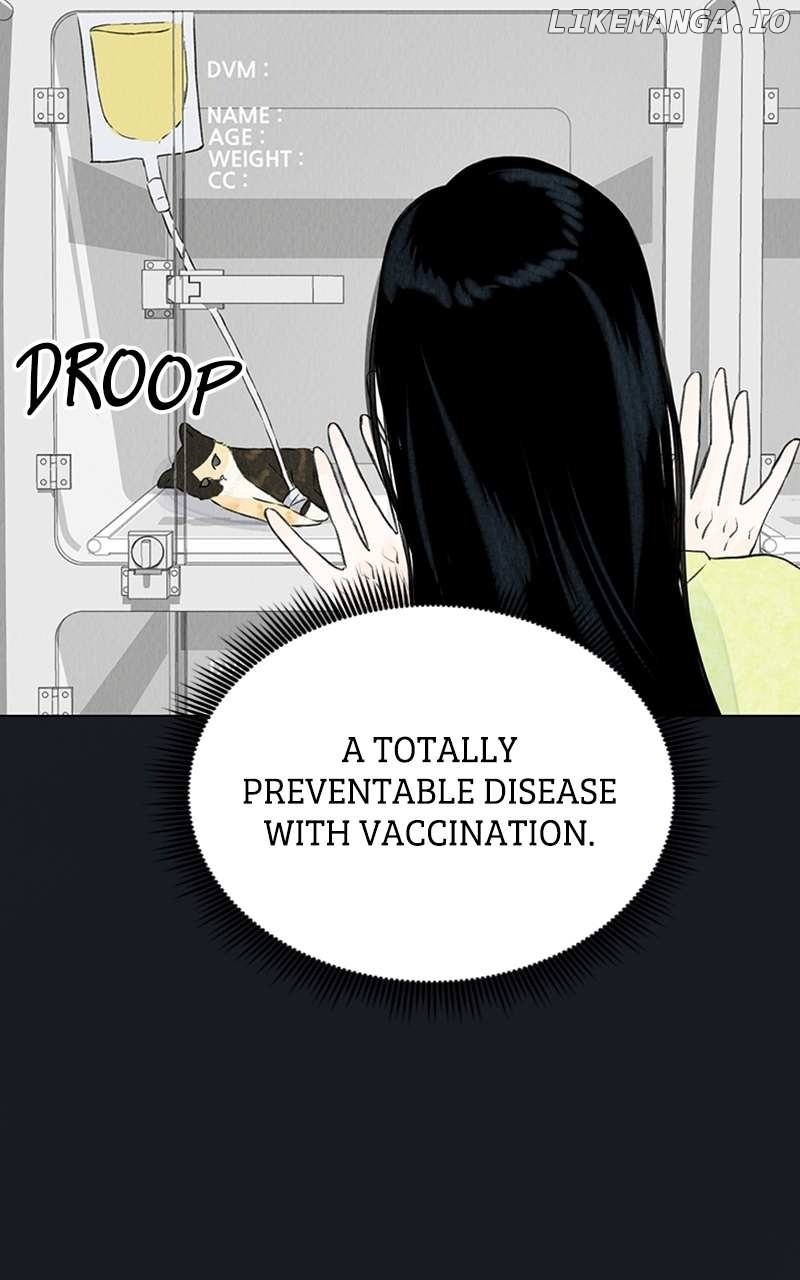 Want to See My Cat? Chapter 2 page 29