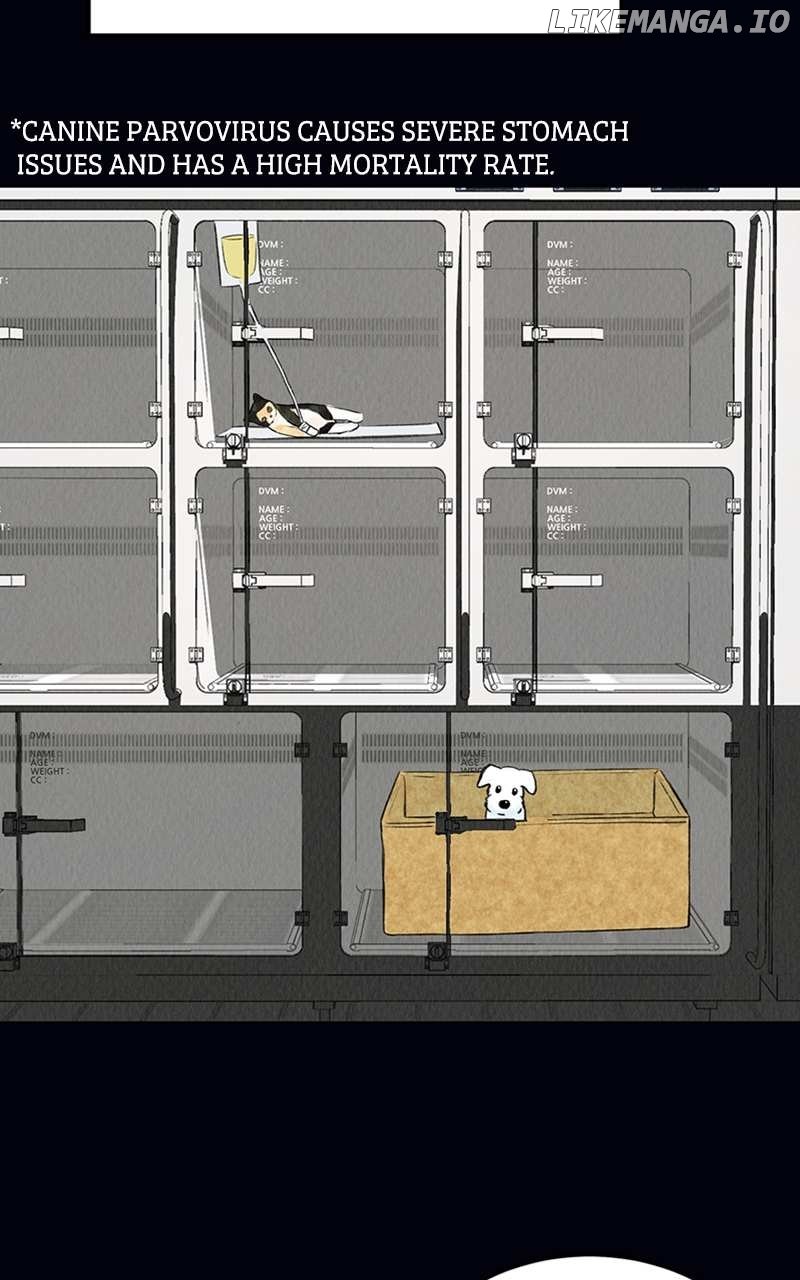 Want to See My Cat? Chapter 2 page 34