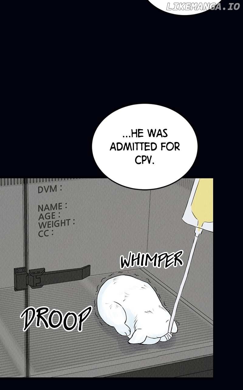 Want to See My Cat? Chapter 2 page 37