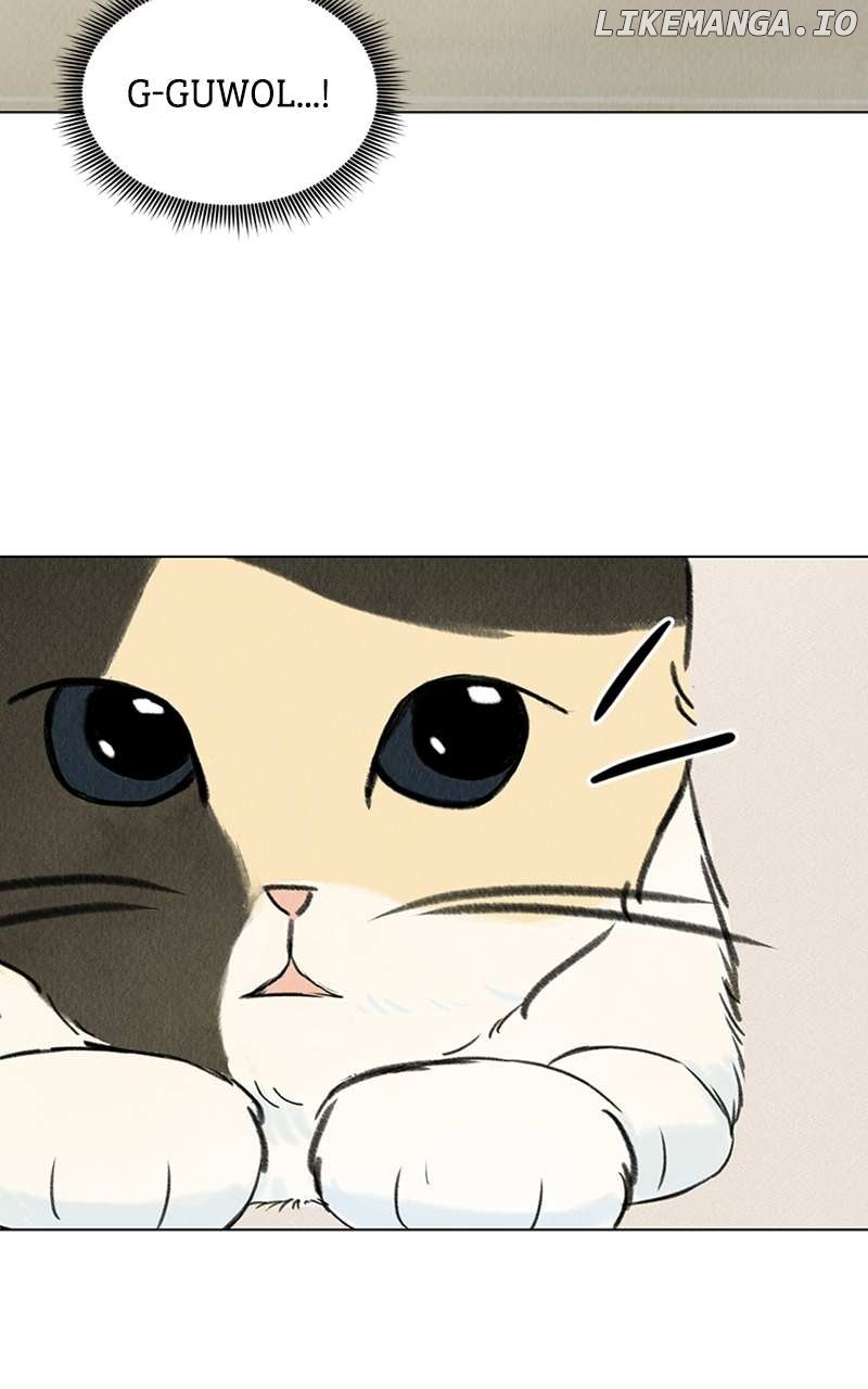 Want to See My Cat? Chapter 2 page 3