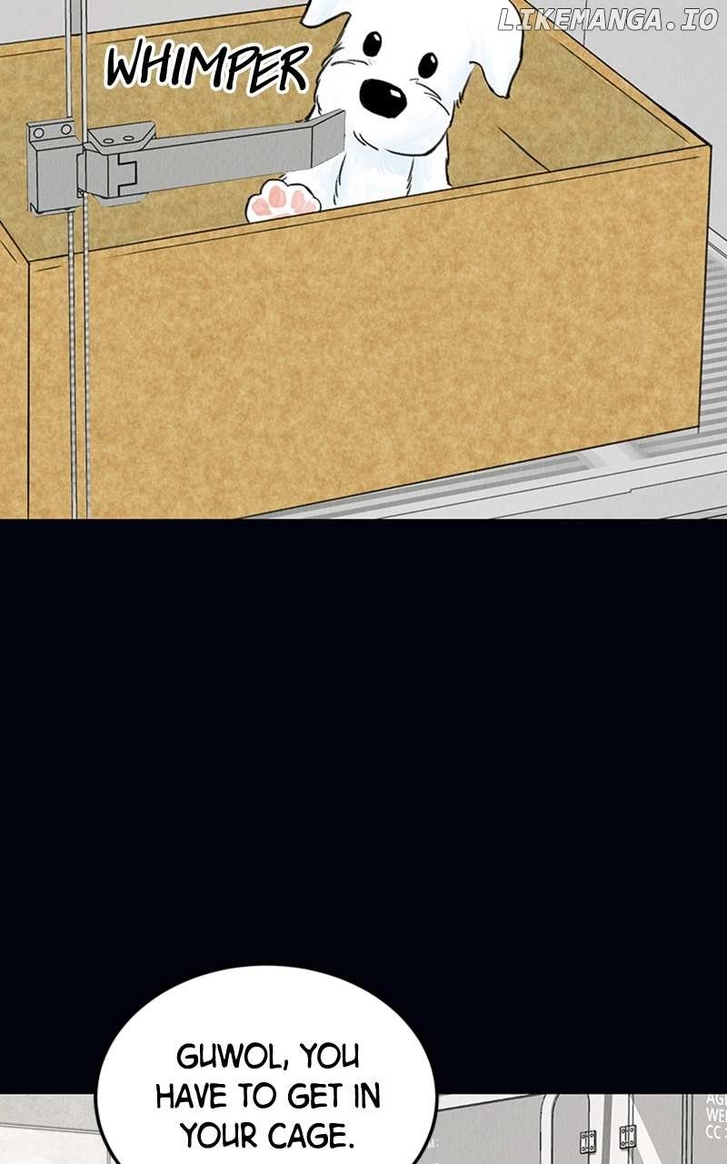 Want to See My Cat? Chapter 2 page 47