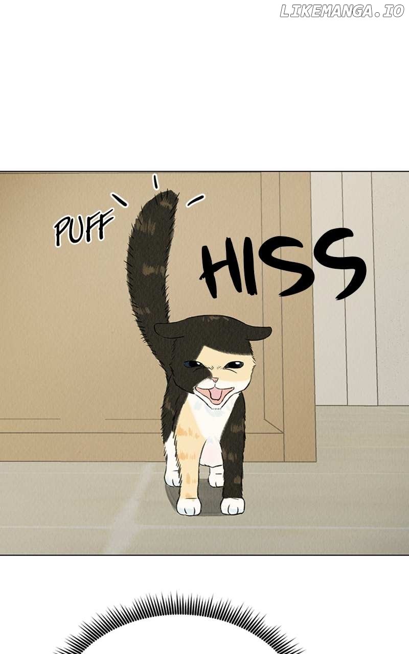 Want to See My Cat? Chapter 2 page 4