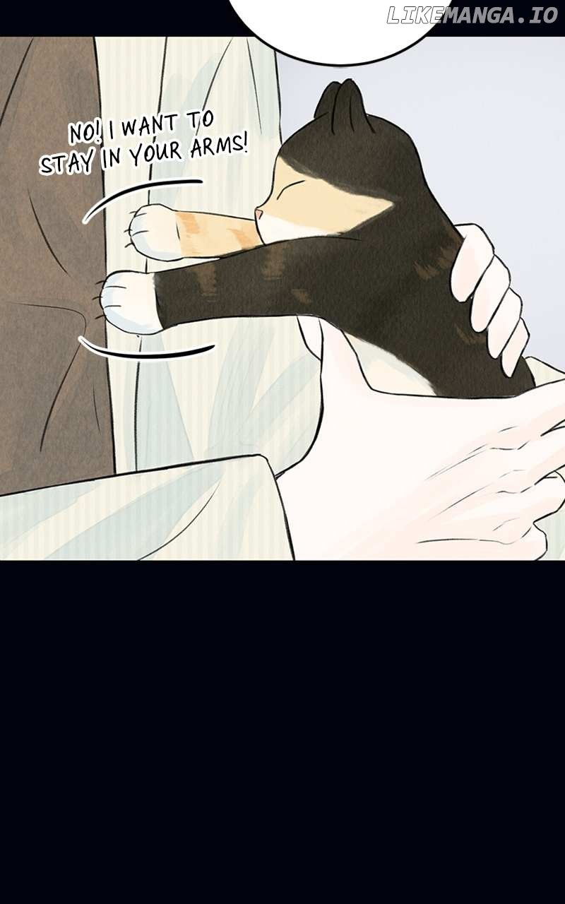 Want to See My Cat? Chapter 2 page 49