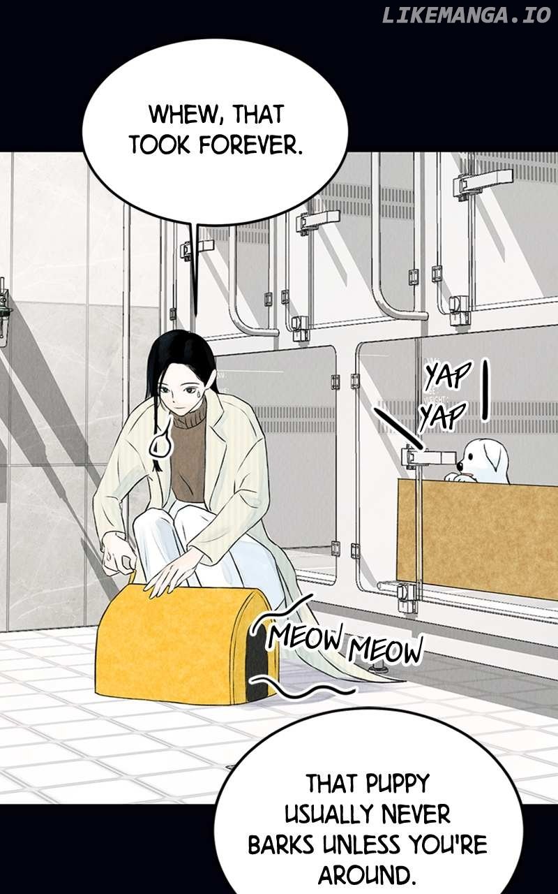 Want to See My Cat? Chapter 2 page 50