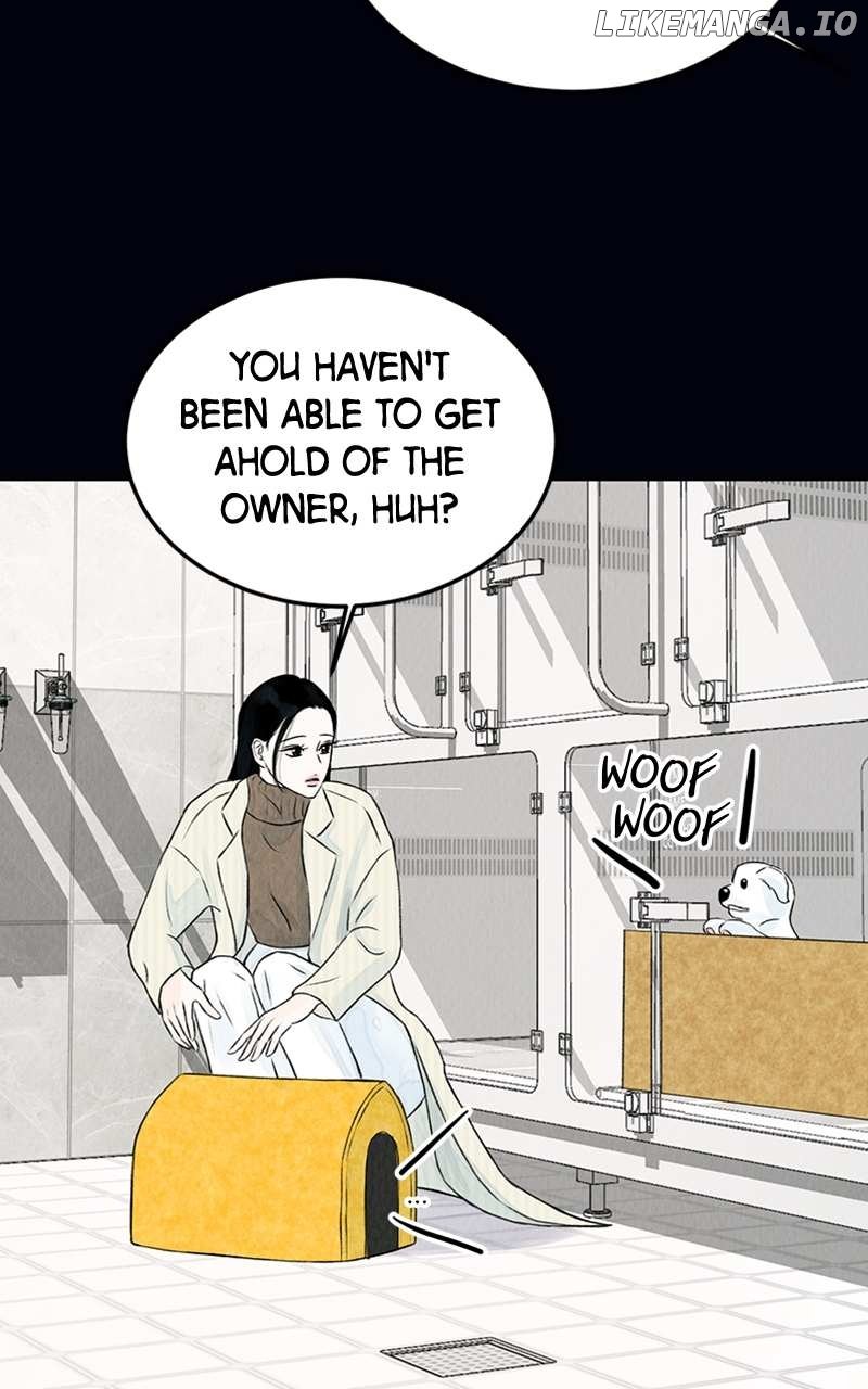 Want to See My Cat? Chapter 2 page 51