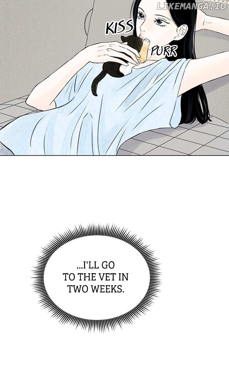 Want to See My Cat? Chapter 2 page 60