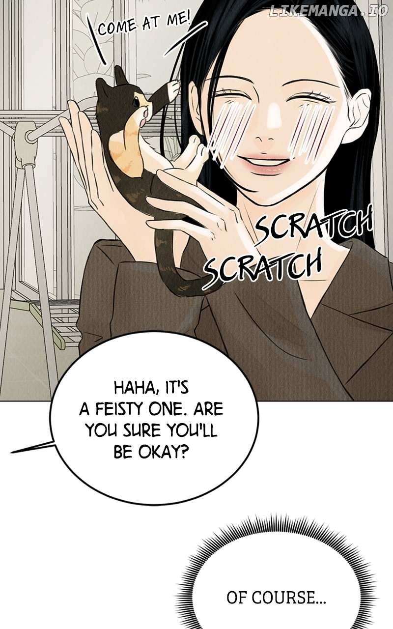 Want to See My Cat? Chapter 2 page 8