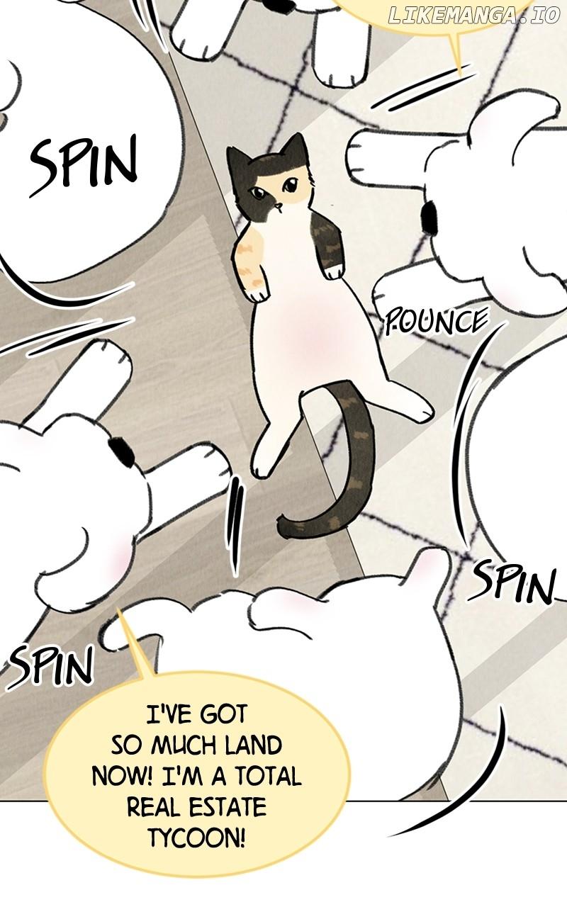 Want to See My Cat? Chapter 20 page 14