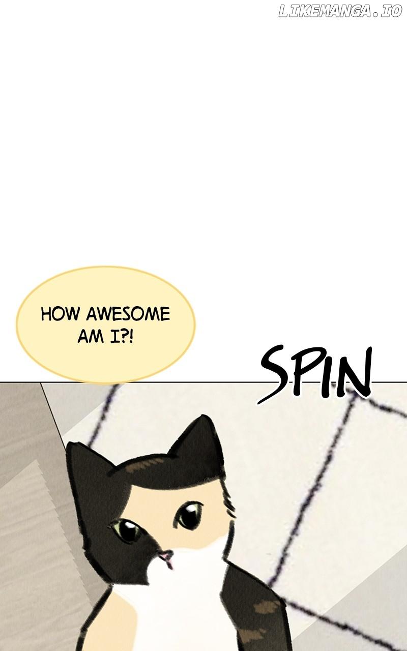 Want to See My Cat? Chapter 20 page 15
