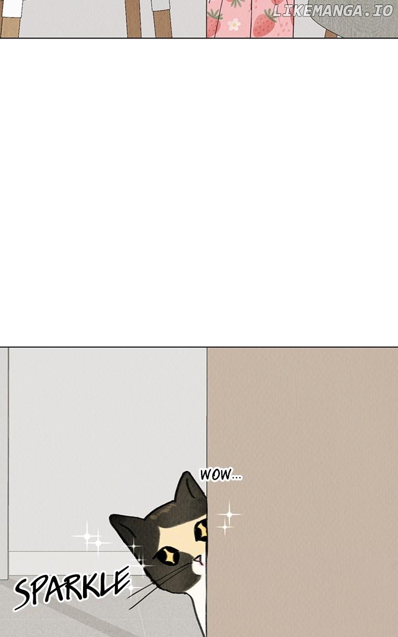 Want to See My Cat? Chapter 20 page 21