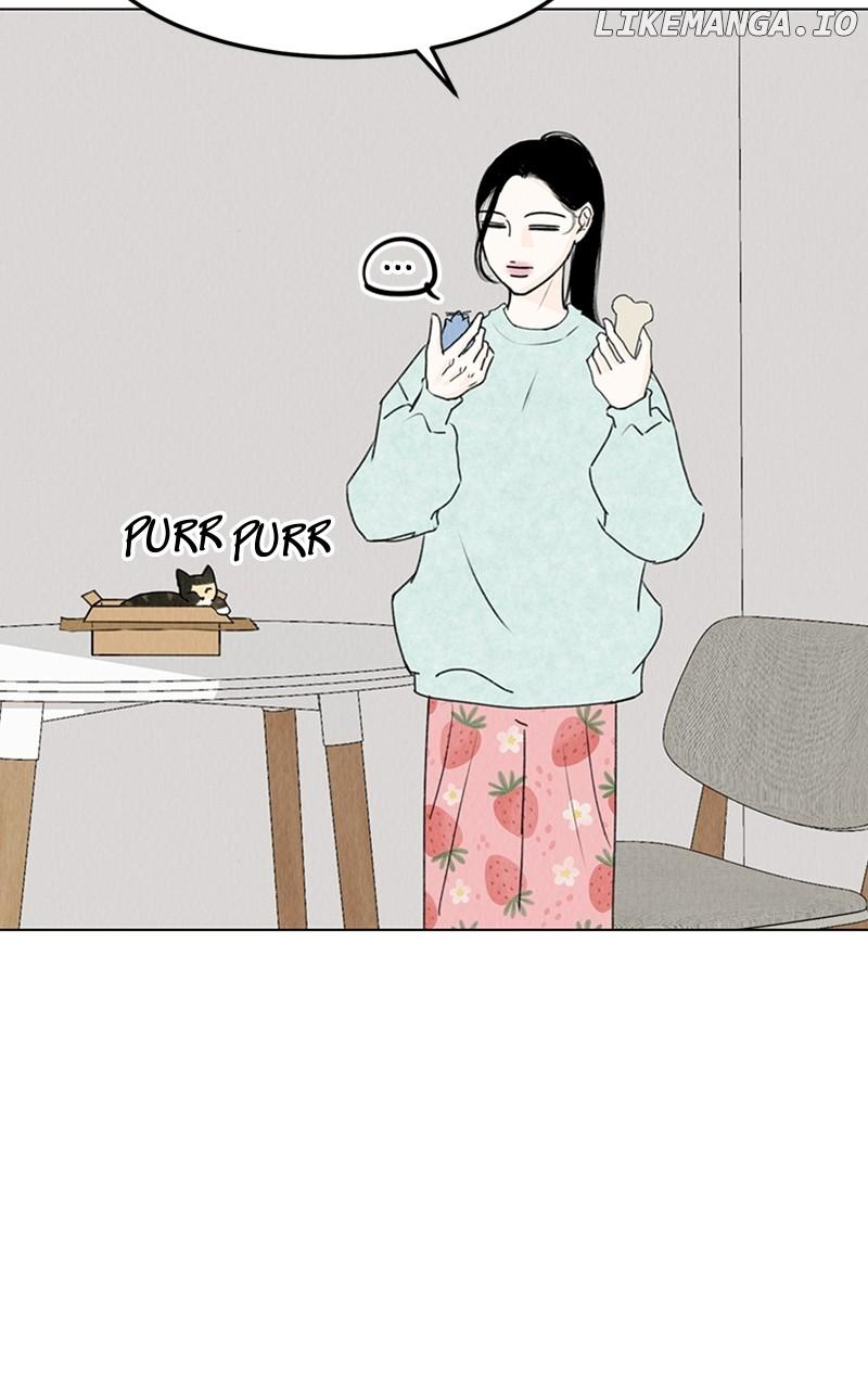 Want to See My Cat? Chapter 20 page 25
