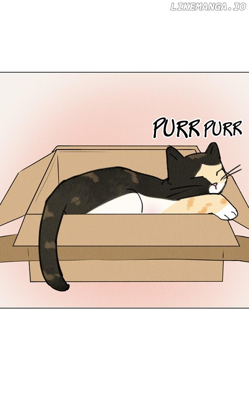 Want to See My Cat? Chapter 20 page 26