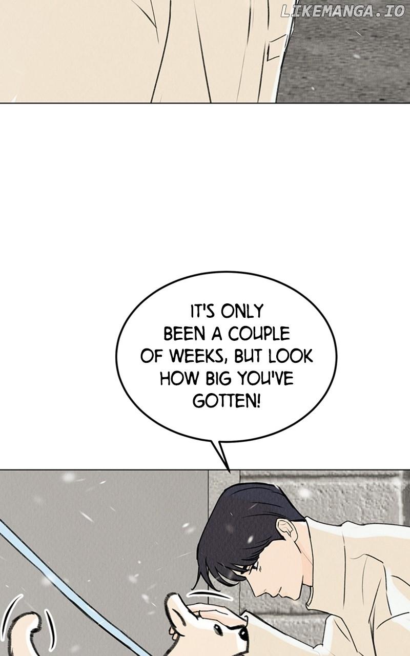 Want to See My Cat? Chapter 20 page 58