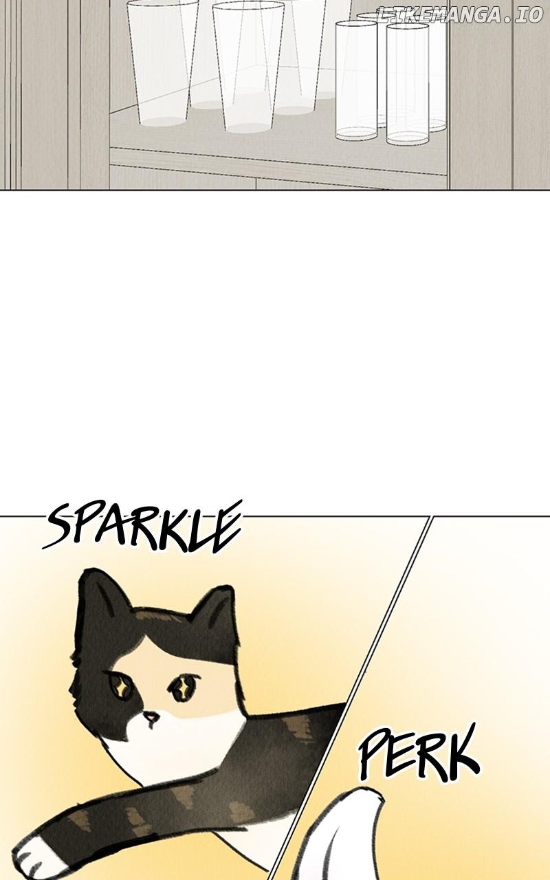 Want to See My Cat? Chapter 20 page 74
