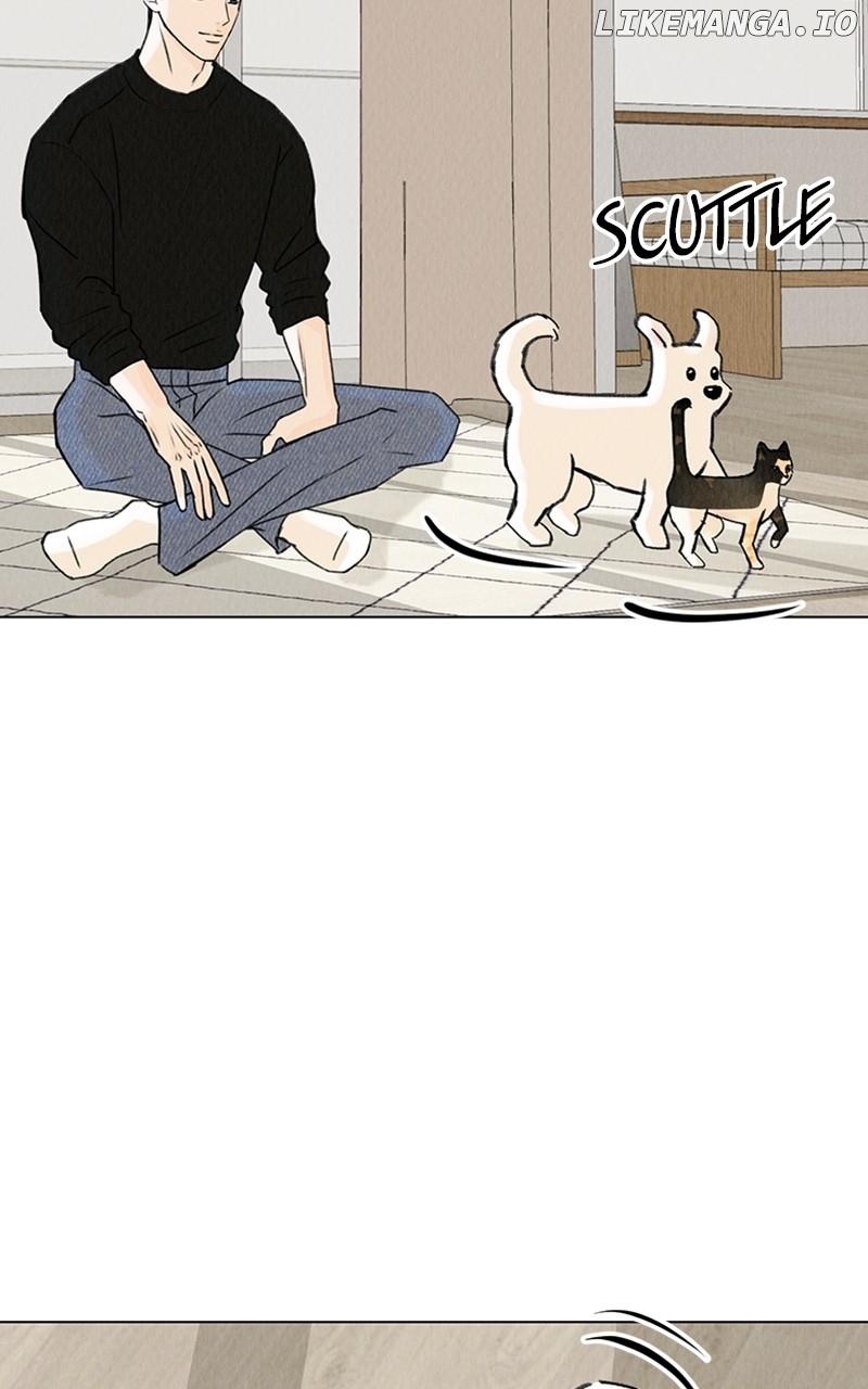 Want to See My Cat? Chapter 20 page 76