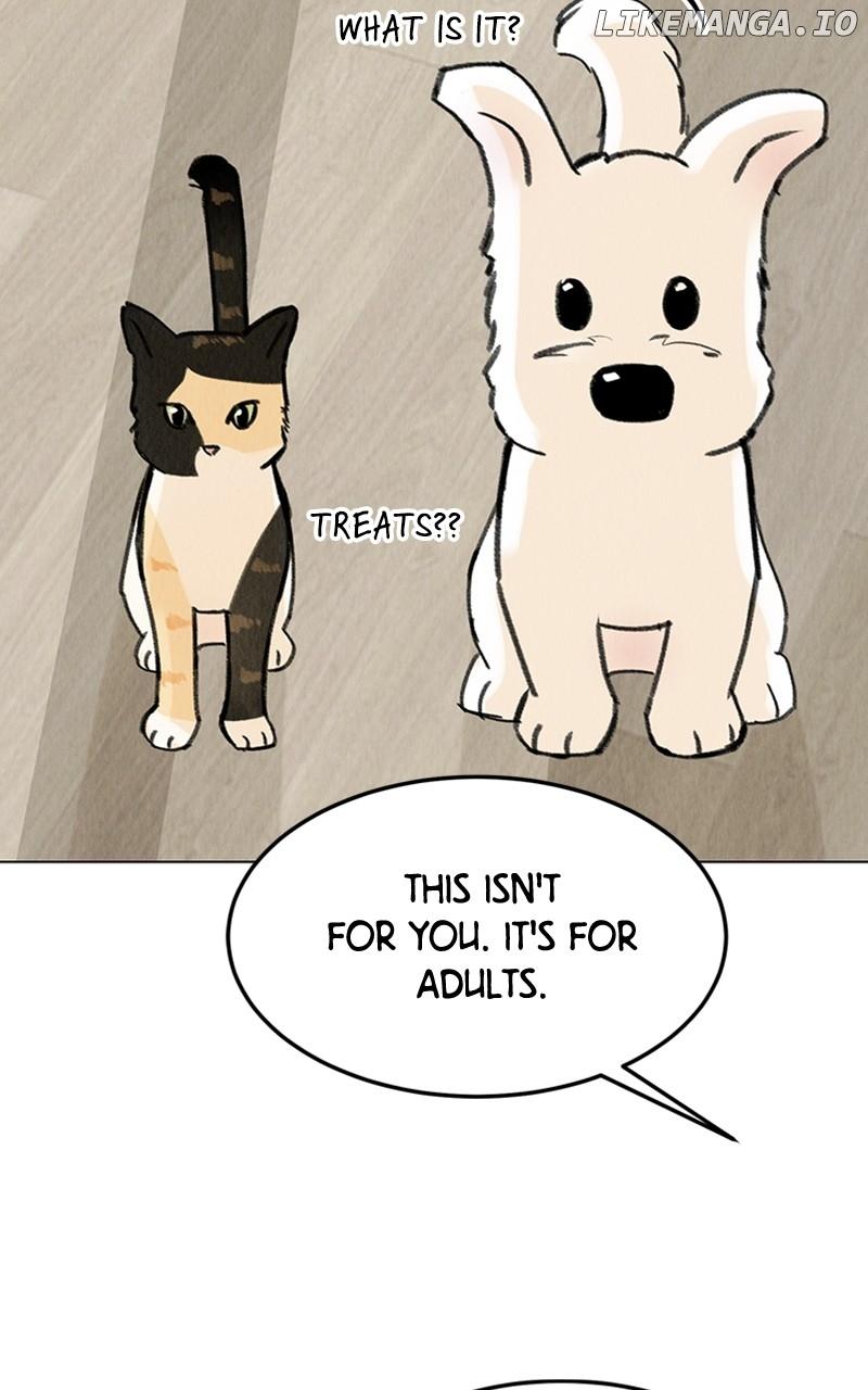 Want to See My Cat? Chapter 20 page 77
