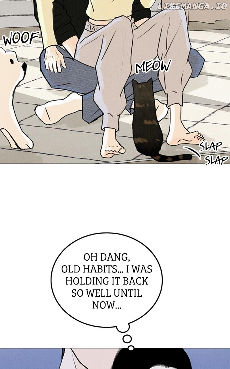 Want to See My Cat? Chapter 20 page 83