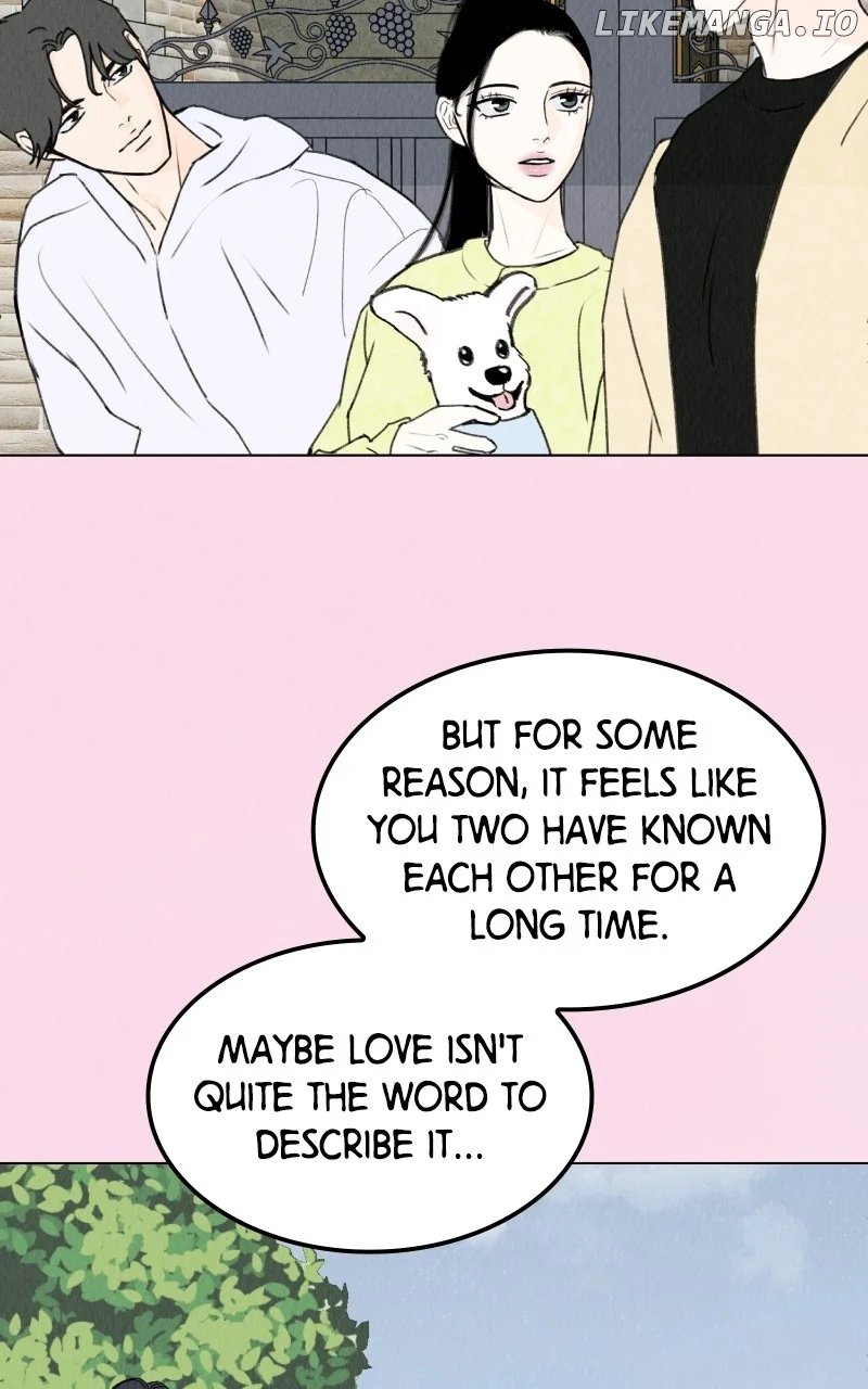 Want to See My Cat? Chapter 26 page 42