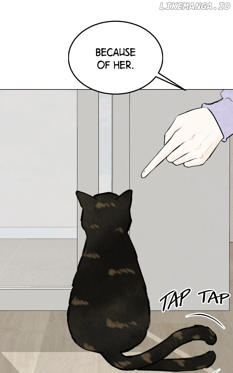 Want to See My Cat? Chapter 27 page 2