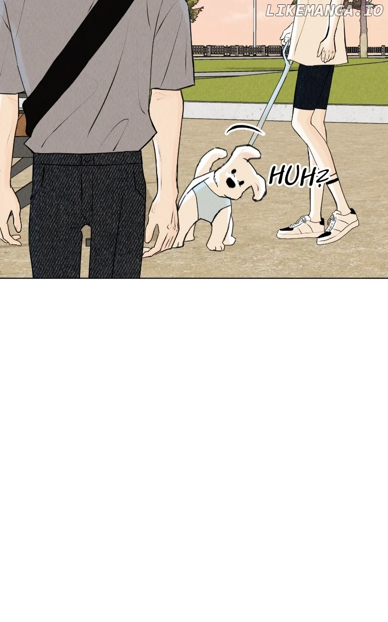 Want to See My Cat? Chapter 27 page 36