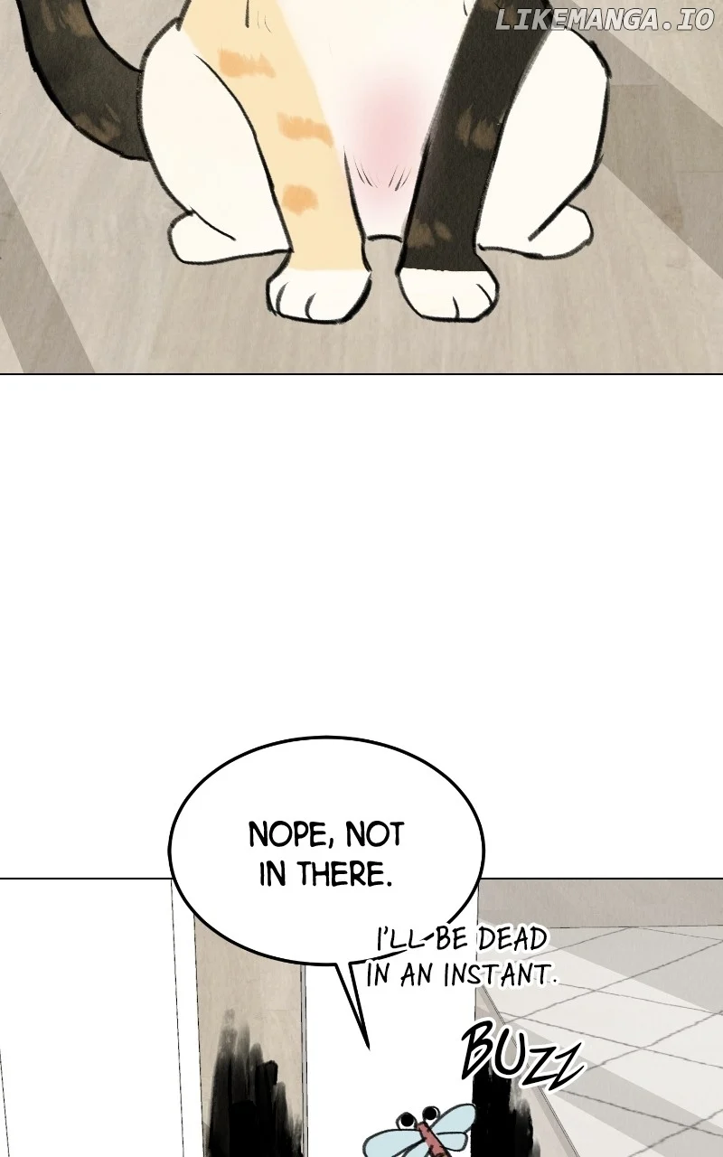Want to See My Cat? Chapter 27 page 4
