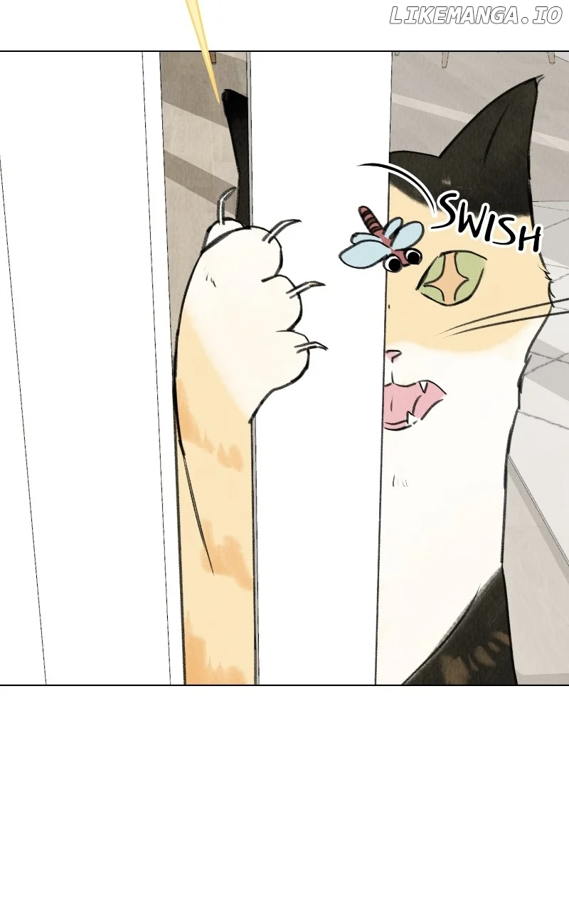 Want to See My Cat? Chapter 27 page 6